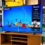 HISENSE QLED QD6 65” – TV 4K UHD 2